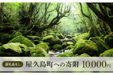 【返礼品なし】屋久島町への寄附　1口10,000円