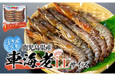鹿児島県産 活き〆冷凍 車海老（養殖）LLサイズ 300g（10～12尾）1パック セット