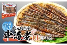 鹿児島県産 活き〆冷凍 車海老（養殖）LLサイズ 計600g（300g 10～12尾×2パック）セット