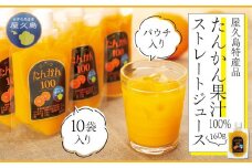たんかん果汁100％ストレートジュース（パウチ入り） 10袋
