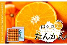 【先行予約】屋久島産たんかん Mサイズ 3kg (25個入り)＜渡辺農園＞