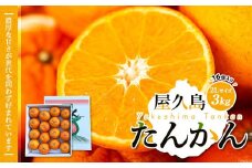【先行予約】屋久島産たんかん 2Lサイズ 3kg (16個入り)＜渡辺農園＞