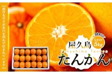 【先行予約】屋久島産たんかん Lサイズ 5kg (36個入り)＜渡辺農園＞