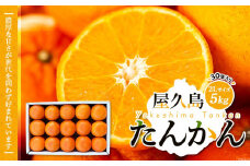 【先行予約】屋久島産たんかん 2Lサイズ 5kg (30個入り)＜渡辺農園＞