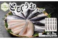 【2025年4月以降発送予定】屋久島産 とびうお フィレ 約1200g（約100g×12パック）冷凍 真空パック
