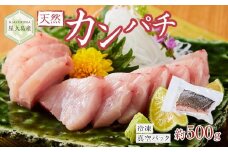 屋久島産 天然カンパチ 約500g ブロック 冷凍 真空パック