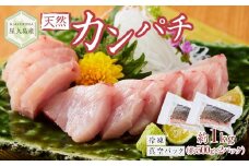 屋久島産 天然カンパチ 約1kg（約500g×2） ブロック 冷凍 真空パック