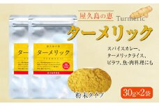 屋久島の恵 ターメリック 30g×2袋（粉末タイプ）