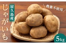 【2025年3月上旬頃から発送】屋久島産 じゃがいも 5kg＜農薬不使用＞
