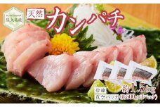 屋久島産 天然カンパチ 約1.5kg（約500g×3） ブロック 冷凍 真空パック