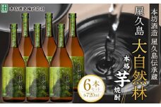 屋久島 大自然林 芋 720ml 6本 本格芋焼酎 ＜本坊酒造 屋久島伝承蔵＞