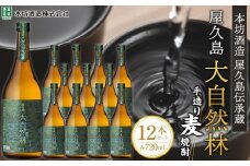 屋久島 大自然林 麦 720ml 12本 屋久島産の手造り麦焼酎＜本坊酒造 屋久島伝承蔵＞