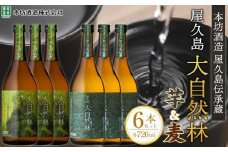 屋久島 大自然林 芋・麦 720ml 各3本 計6本＜本坊酒造 屋久島伝承蔵＞