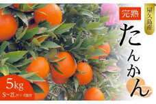 【2025年発送】屋久島産たんかん 5kg バラ 完熟（S～2Lサイズ混合・約30玉前後）