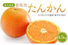 【2025年発送】屋久島産 家庭用 たんかん 4.5kg バラ（S～2Lサイズ混合・多少キズあり）