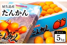 2025年 屋久島産たんかん 約5kg・Lサイズ＜先行予約／数量限定＞