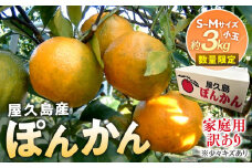 2024年 屋久島産 ぽんかん 家庭用 訳あり 約3kg 小玉(S～Mサイズ・少々キズあり)＜先行予約／数量限定＞