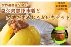【2025年3月上旬頃から発送】屋久島産黒豚の豚味噌と屋久島産じゃがいもセット5kg＜農薬不使用＞