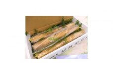 【相良パーティ】屋久島産自然薯1kg