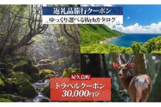 屋久島町 後から選べる旅行Webカタログで使える！ 旅行クーポン（30,000円分） 旅行券 宿泊券
