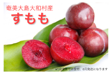 A002 南国の太陽をあびた奄美すもも３Kg（L～２Lサイズ）【残りわずか】