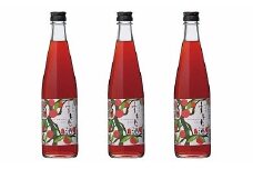 小正醸造【すもも酒】10度500ml×３本