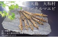 いわさき活〆冷凍車海老（９００ｇ、３０～４０尾入り）