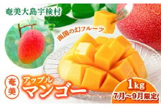 【2025年8月発送】今が旬！ 完熟 アップル マンゴー 1kg（2～3玉）モトキ農園 鹿児島県 奄美大島 宇検村 南国 マンゴー フルーツ 果物