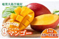 【2025年8月発送】今が旬！ 完熟 アップル マンゴー ミニサイズ 1kg（8～10玉）モトキ農園 鹿児島県 奄美大島 宇検村 南国 マンゴー フルーツ 果物