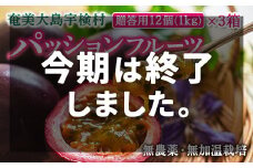 パッションフルーツ 贈答用 (12個入×3箱)【2025年先行予約】6月～出荷開始 リリコイ 果物 フルーツ デザート 人気 無農薬 無加温 南国 デザート 奄美大島 宇検村 鹿児島