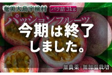 パッションフルーツ (バラ詰3kg) 【2025年先行予約】2025年６月～出荷開始 リリコイ フルーツ デザート 人気 鹿児島県 奄美大島 宇検村 