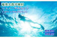 《体験》屋鈍の海でシュノーケル（１日レンタルチケット）レジャー 旅行 観光 体験 海 水泳 自然 奄美大島 宇検村 鹿児島