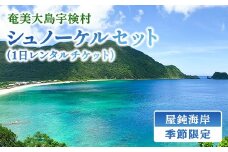 《体験》屋鈍の海でシュノーケル（１日レンタルチケット）レジャー 旅行 観光 体験 海 水泳 自然 奄美大島 宇検村 鹿児島