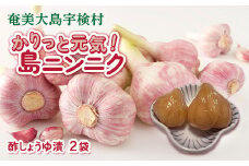 かりっと元気！島ニンニク 酢しょうゆ漬 (2袋) にんにく おつまみ  世界遺産登録記念  奄美大島 宇検村 鹿児島