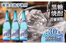 黒糖焼酎れんと25度　一升瓶　1800ml×30本 25度 焼酎 お酒 奄美大島 宇検村 鹿児島 奄美大島開運酒造
