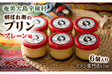 《朝採れ卵の絶品プリン》プレーン味(6個入り)こだわり プリン 人気 スイーツ デザート 洋菓子 紅さんご 奄美大島 宇検村 鹿児島【 プリン専門店che 】 