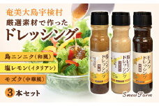ドレッシング（3本セット）厳選素材 こだわり 保存料不使用 島ニンニク 塩レモン モズク 料理 調味料 奄美大島 宇検村 鹿児島