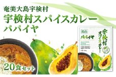 宇検村 スパイスカレー パパイヤ (20食セット)  本格 レトルトカレー パパイヤ グルテンフリー 化学調味料不使用 奄美大島 宇検村