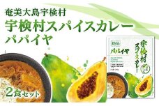 宇検村 スパイスカレー パパイヤ (2食セット)  本格 レトルトカレー パパイヤ グルテンフリー 化学調味料不使用 奄美大島 宇検村