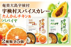 宇検村 スパイスカレー パパイヤ&たんかんチキン 各5食  (10食セット)  本格 レトルト カレー パパイヤ たんかん チキン グルテンフリー 化学調味料不使用 宇検村 鹿児島