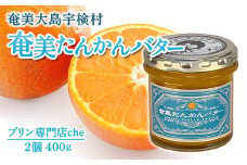 奄美 たんかんバター（2個 240g）たんかん 奄美大島 宇検村 鹿児島 国産バター使用（プリン専門店che)