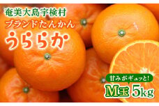 【再登場※2月~3月発送分】完熟 ブランド たんかん M玉 5kg 【数量限定】優品 良品 柑橘 みかん 奄美 宇検村 奄美大島産 光センサー 果物 奄美のみかん 厳選 糖度10度以上 甘い 数量 期間 限定 鹿児島 おすすめ ランキング プレゼント ギフト 家庭用