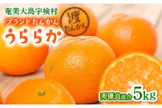 【予約・数量限定】2026年2月～出荷予定《ブランドたんかん》うららか 光センサー 秀優良品 M~2Lサイズ混合 奄美大島産たんかん5kg 渡タンカン農園 もぎたて 旬をお届け