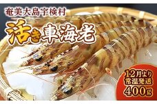 【先行予約】2026年1月22日(木)発送希望 活き 車海老  (400g) 【期間限定】常温 活きたまま 宇検村産 車えび 魚介 エビ 海鮮 刺身 人気 くるまえび 奄美大島 宇検村 鹿児島 