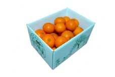 ★受付停止中★【2026年発送分 先行受付】たんかん ご家庭用バラ詰め3kg【たけはら農園】【たんかん, 南国フルーツ, 柑橘類, 果物類,  フルーツ, くだもの, 詰め合わせ,ご家庭用, 甘い, ジューシー, 季節限定, フレッシュ, 健康, ビタミンC, 旬の味覚, 産地直送, 鹿児島県, 奄美大島, 瀬戸内町, AD013】