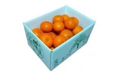 ★受付停止中★【2026年発送分 先行受付】たんかん ご家庭用バラ詰め3kg×2箱【たけはら農園】【たんかん, 南国フルーツ, 柑橘類, 果物類,  フルーツ, くだもの, 詰め合わせ,ご家庭用, 甘い, ジューシー, 季節限定, フレッシュ, 健康, ビタミンC, 旬の味覚, 産地直送, 鹿児島県, 奄美大島, 瀬戸内町, AD014】