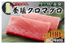 奄美大島産養殖クロマグロ 2柵セット 400g以上 中トロ 赤身 冷凍【マグロ まぐろ 黒マグロ クロマグロ 養殖マグロ 冷凍マグロ マグロ刺身 マグロ中トロ マグロ赤身 お取り寄せ 人気 おすすめ 奄美大島 鹿児島県 瀬戸内町 AE001】