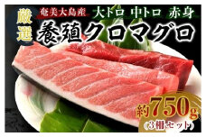 奄美大島産養殖クロマグロ 3柵セット 750g以上 大トロ 中トロ 赤身 冷凍【マグロ まぐろ 黒マグロ クロマグロ 養殖マグロ 冷凍マグロ マグロ刺身 マグロ中トロ マグロ赤身 お取り寄せ 人気 おすすめ 奄美大島 鹿児島県 瀬戸内町 AE002】