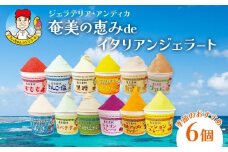 奄美の恵みdeイタリアンジェラート（6個入り）