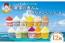 奄美の恵みdeイタリアンジェラート（12個入り）